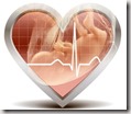 Fetal heartbeat graphic found via Google